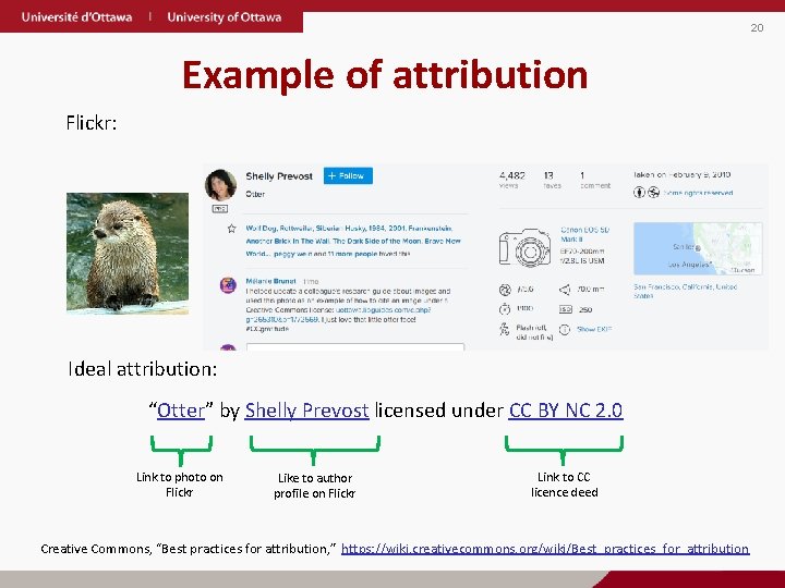 20 Example of attribution Flickr: Ideal attribution: “Otter” by Shelly Prevost licensed under CC