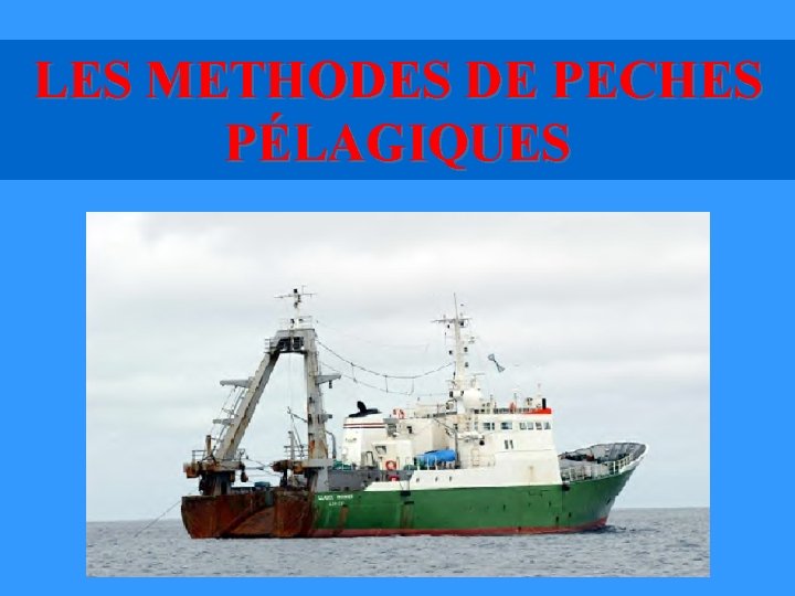 LES METHODES DE PECHES PÉLAGIQUES LES METHODES DE PECHES PÉLAGIQUES