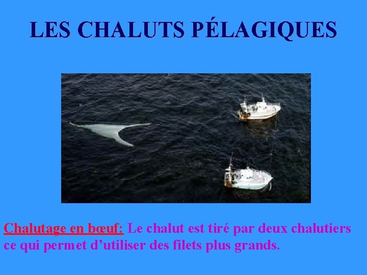 LES CHALUTS PÉLAGIQUES Chalutage en bœuf: Le chalut est tiré par deux chalutiers ce LES CHALUTS PÉLAGIQUES Chalutage en bœuf: Le chalut est tiré par deux chalutiers ce