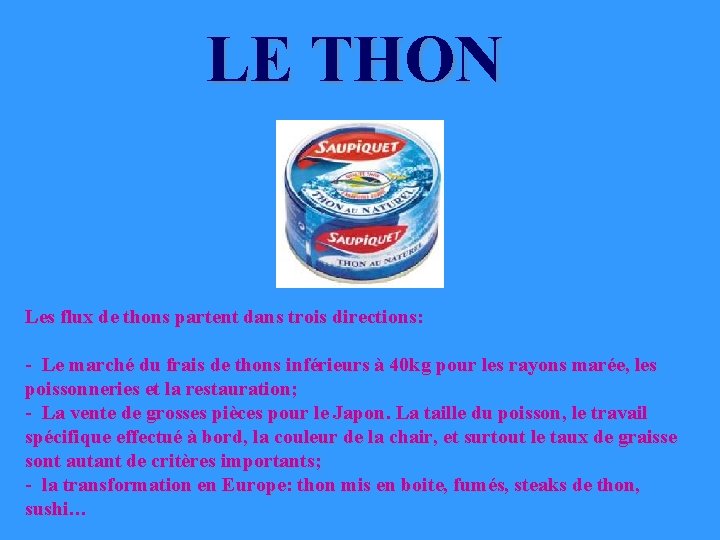 LE THON Les flux de thons partent dans trois directions: - Le marché du LE THON Les flux de thons partent dans trois directions: - Le marché du