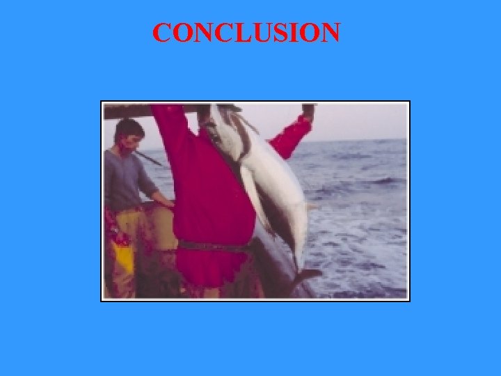 CONCLUSION CONCLUSION