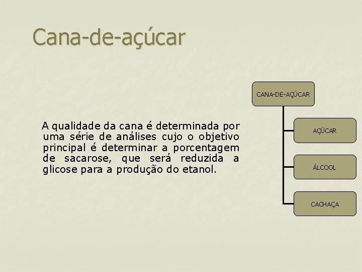 Cana-de-açúcar CANA-DE-AÇÚCAR A qualidade da cana é determinada por uma série de análises cujo