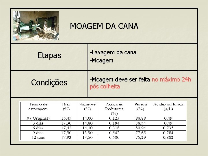 MOAGEM DA CANA Etapas Condições -Lavagem da cana -Moagem deve ser feita no máximo