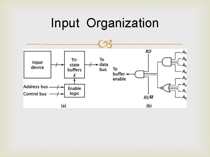 Input Organization 