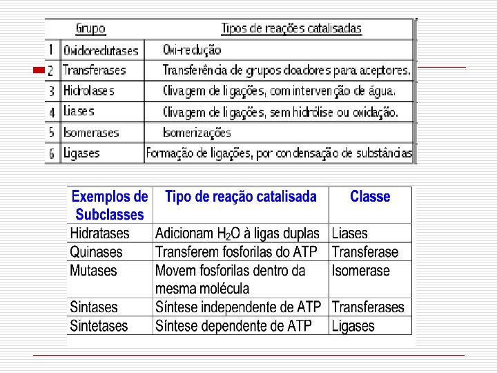 Classificação das Enzimas 