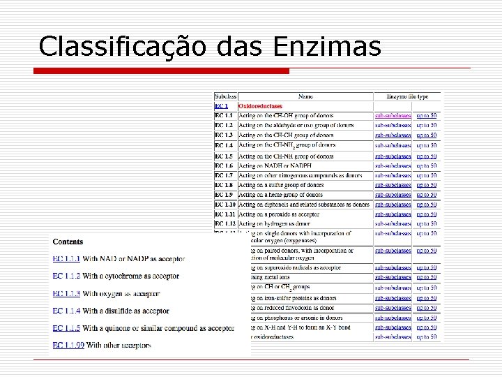 Classificação das Enzimas 