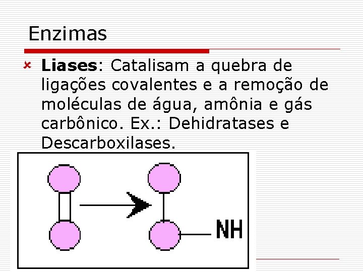 Enzimas û Liases: Catalisam a quebra de ligações covalentes e a remoção de moléculas