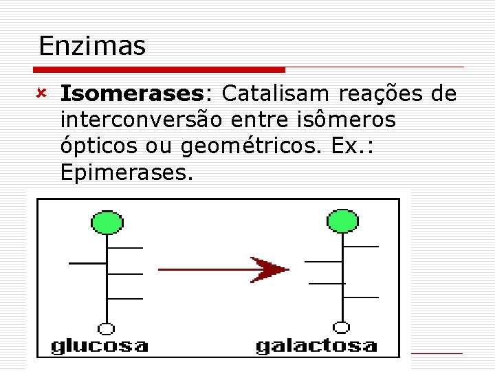 Enzimas û Isomerases: Catalisam reações de interconversão entre isômeros ópticos ou geométricos. Ex. :