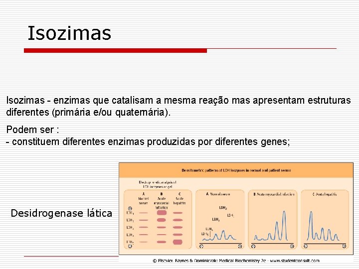 Isozimas - enzimas que catalisam a mesma reação mas apresentam estruturas diferentes (primária e/ou