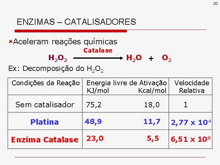 20 ENZIMAS – CATALISADORES ûAceleram reações químicas Catalase H 2 O 2 Ex: Decomposição