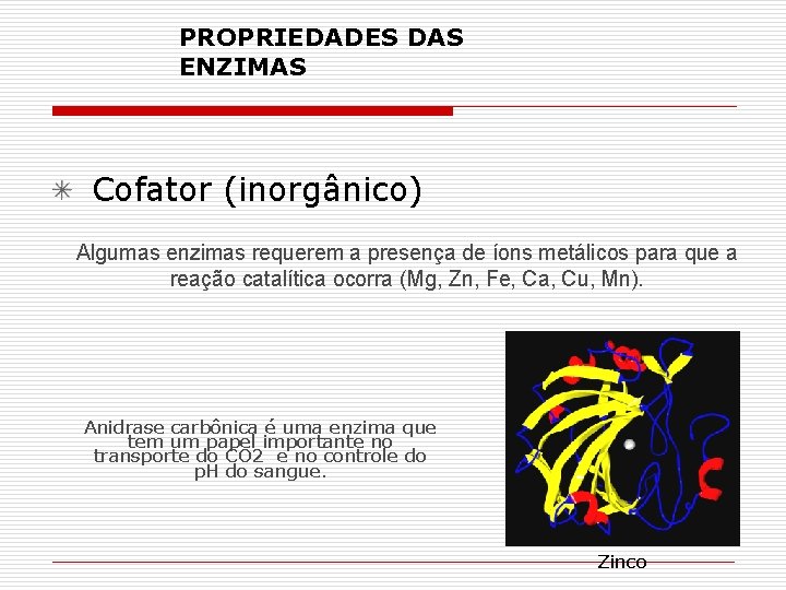 PROPRIEDADES DAS ENZIMAS Cofator (inorgânico) Algumas enzimas requerem a presença de íons metálicos para