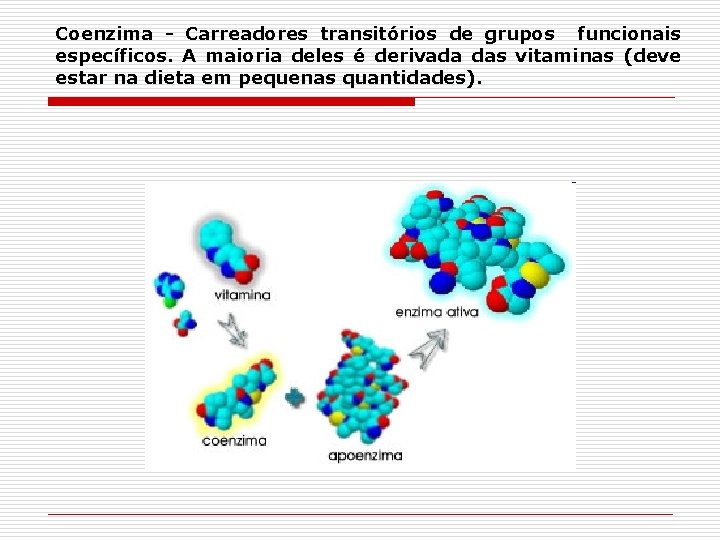 Coenzima - Carreadores transitórios de grupos funcionais específicos. A maioria deles é derivada das