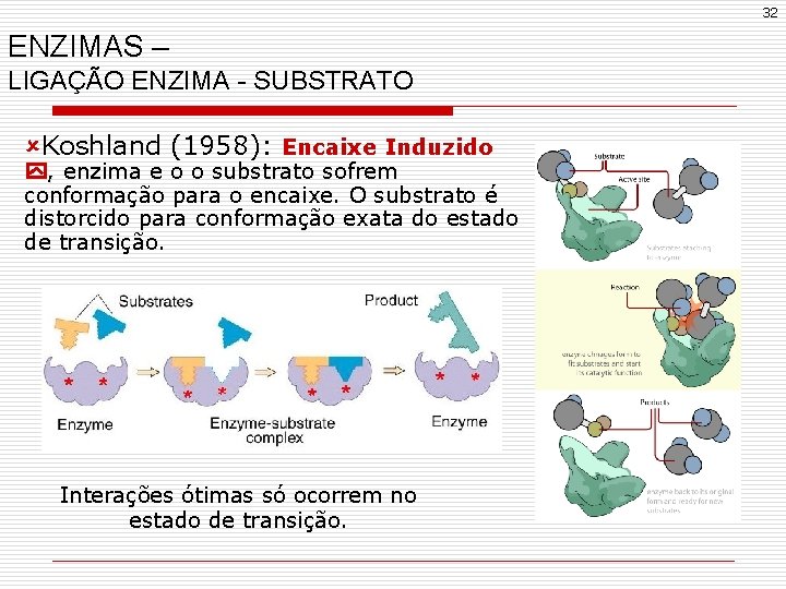 32 ENZIMAS – LIGAÇÃO ENZIMA - SUBSTRATO ûKoshland (1958): Encaixe Induzido , enzima e