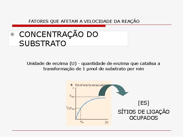 FATORES QUE AFETAM A VELOCIDADE DA REAÇÃO CONCENTRAÇÃO DO SUBSTRATO Unidade de enzima (U)