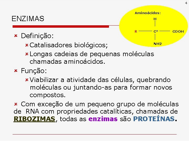 4 ENZIMAS Aminoácidos: H R C* û Definição: NH 2 û Catalisadores biológicos; û