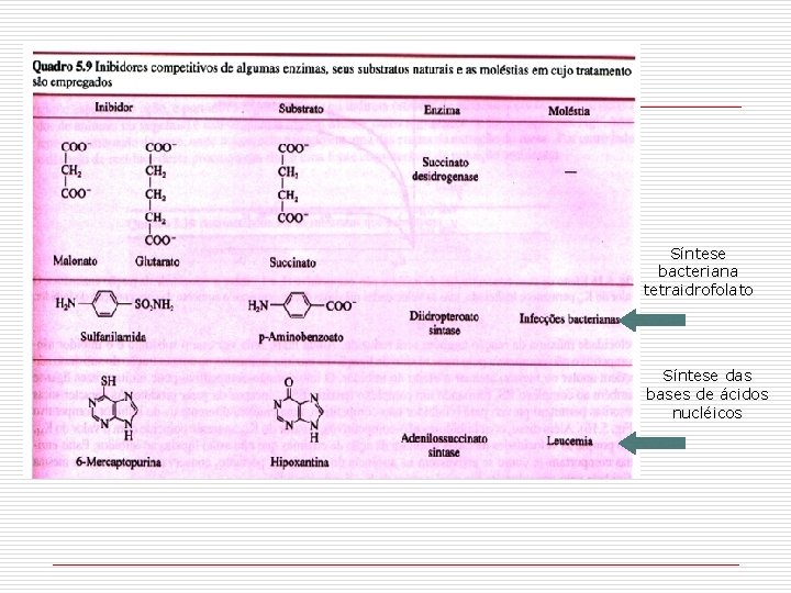 Síntese bacteriana tetraidrofolato Síntese das bases de ácidos nucléicos 