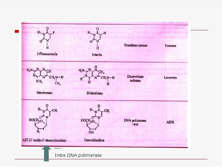 Inibe DNA polimerase 