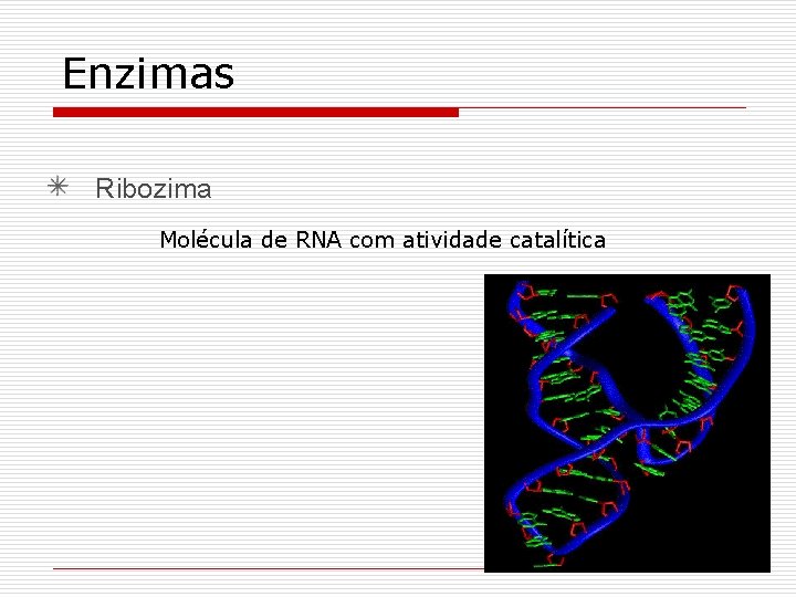 Enzimas Ribozima Molécula de RNA com atividade catalítica 