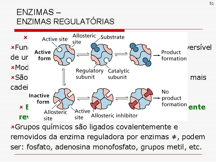 51 ENZIMAS – ENZIMAS REGULATÓRIAS û Enzimas alostéricas ûFuncionam através da ligação não-covalente e