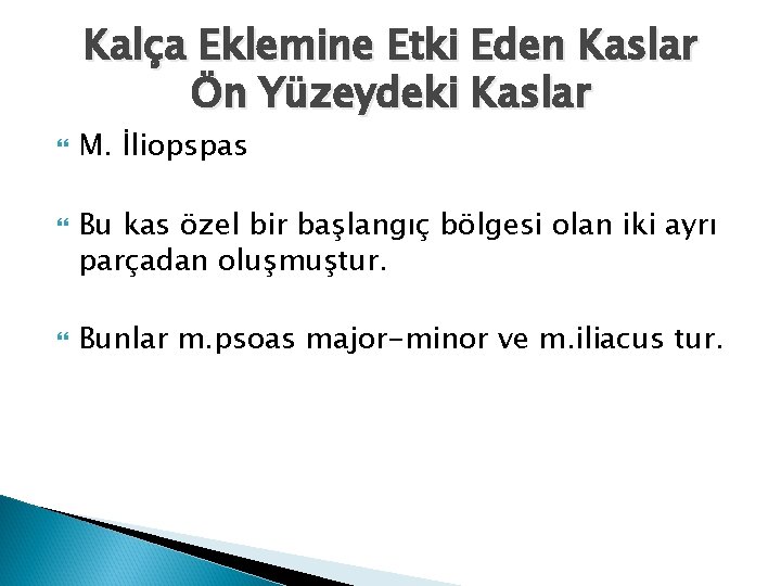 Kalça Eklemine Etki Eden Kaslar Ön Yüzeydeki Kaslar M. İliopspas Bu kas özel bir