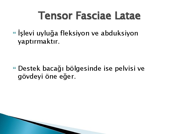 Tensor Fasciae Latae İşlevi uyluğa fleksiyon ve abduksiyon yaptırmaktır. Destek bacağı bölgesinde ise pelvisi