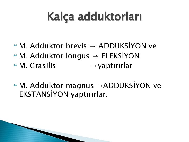 Kalça adduktorları M. Adduktor brevis → ADDUKSİYON ve M. Adduktor longus → FLEKSİYON M.