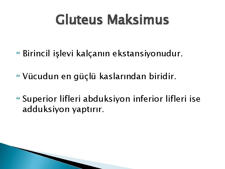 Gluteus Maksimus Birincil işlevi kalçanın ekstansiyonudur. Vücudun en güçlü kaslarından biridir. Superior lifleri abduksiyon