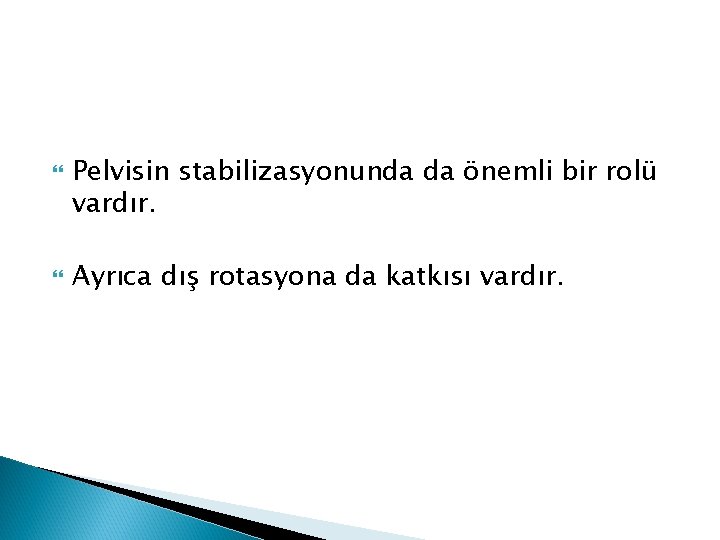  Pelvisin stabilizasyonunda da önemli bir rolü vardır. Ayrıca dış rotasyona da katkısı vardır.