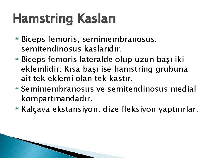 Hamstring Kasları Biceps femoris, semimembranosus, semitendinosus kaslarıdır. Biceps femoris lateralde olup uzun başı iki