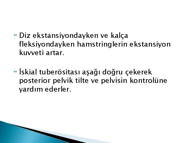  Diz ekstansiyondayken ve kalça fleksiyondayken hamstringlerin ekstansiyon kuvveti artar. İskial tuberösitası aşağı doğru