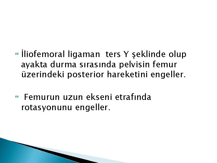  İliofemoral ligaman ters Y şeklinde olup ayakta durma sırasında pelvisin femur üzerindeki posterior