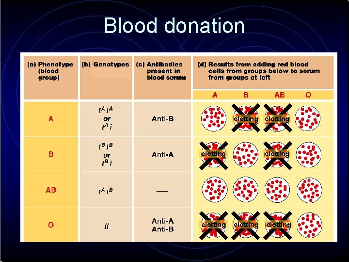 Blood donation clotting clotting 