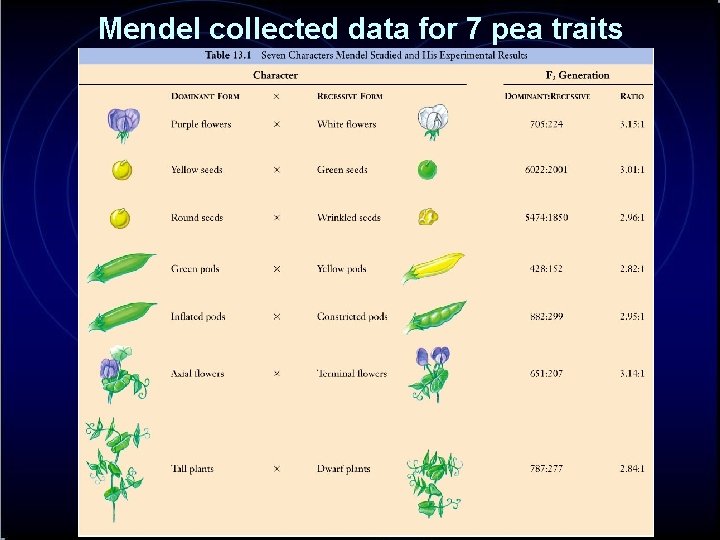 Mendel collected data for 7 pea traits 