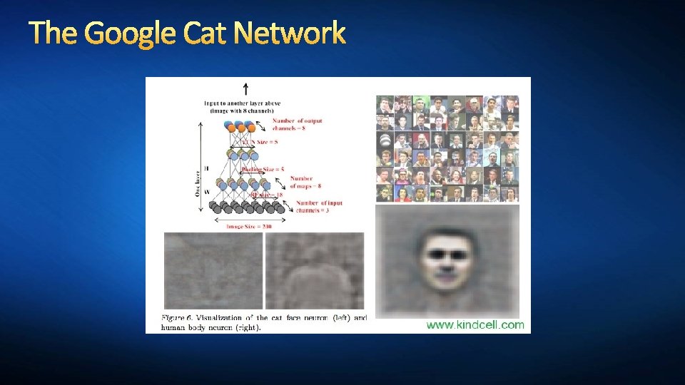 The Google Cat Network 