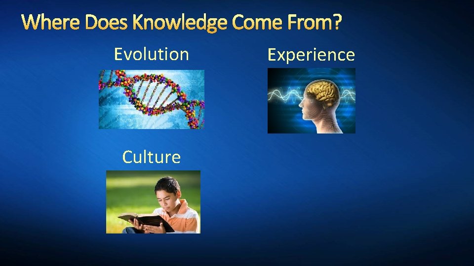Where Does Knowledge Come From? Evolution Culture Experience 