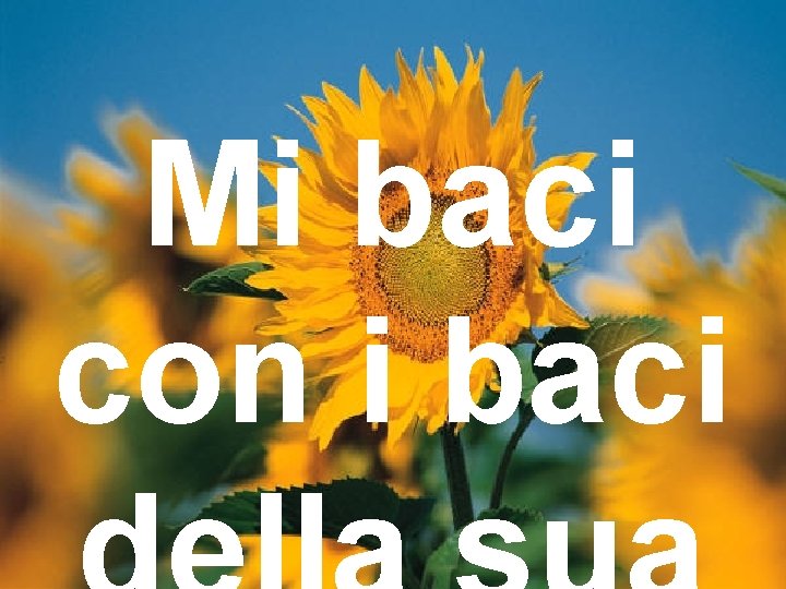 Mi baci con i baci 