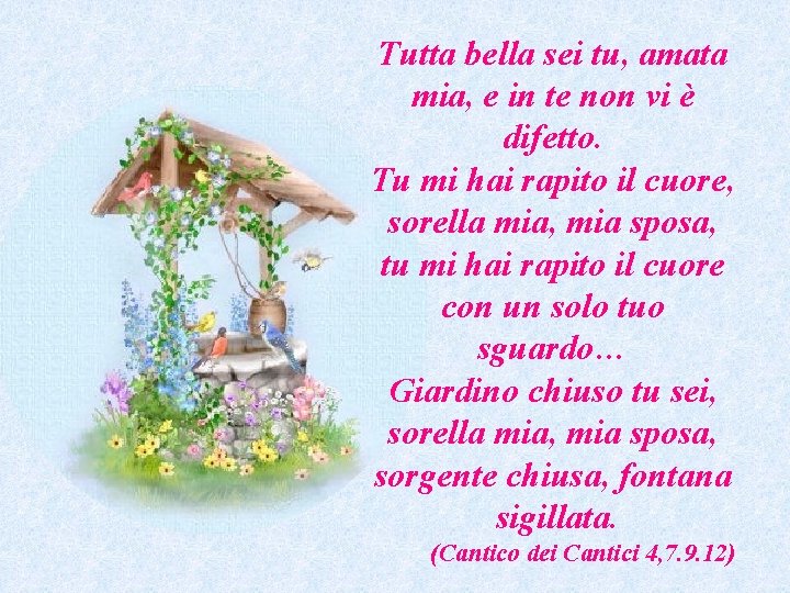 Tutta bella sei tu, amata mia, e in te non vi è difetto. Tu