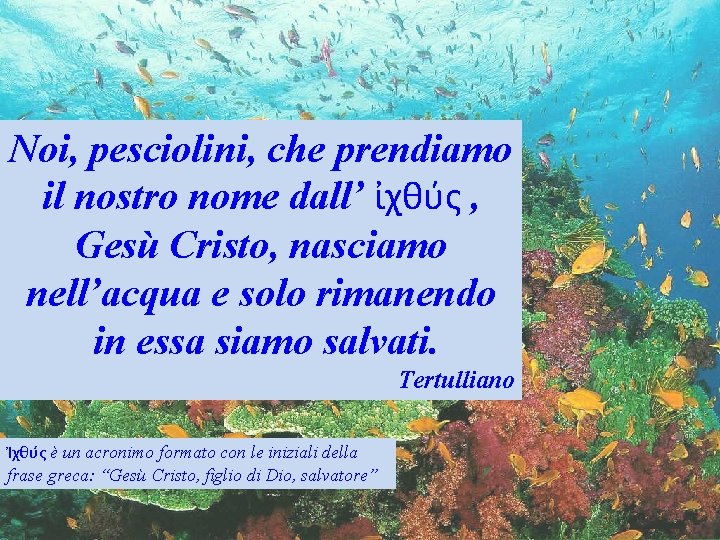 Noi, pesciolini, che prendiamo il nostro nome dall’ ἰχθύς , Gesù Cristo, nasciamo nell’acqua