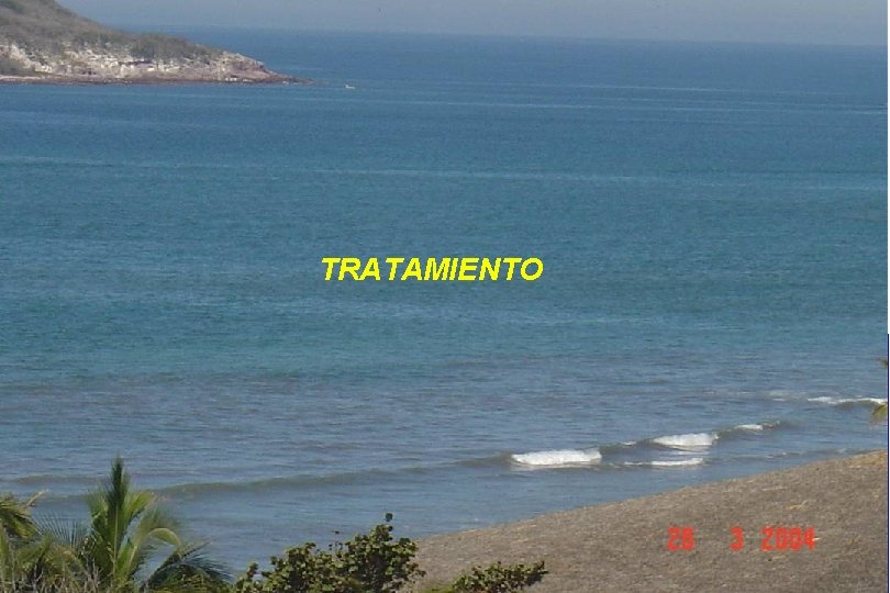 TRATAMIENTO 