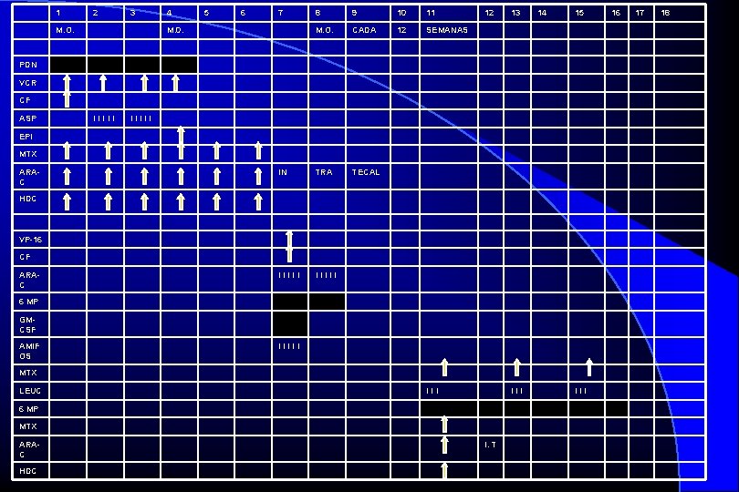 1 2 3 M. O. 4 5 6 7 8 9 10 11 M.