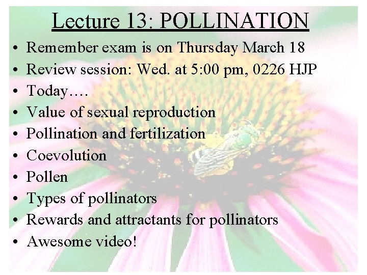 Lecture 13: POLLINATION • • • Remember exam is on Thursday March 18 Review