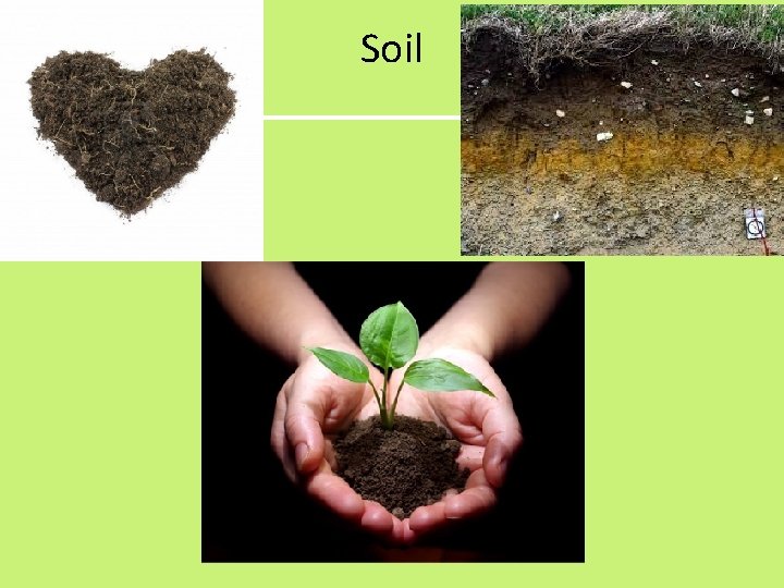 Soil 