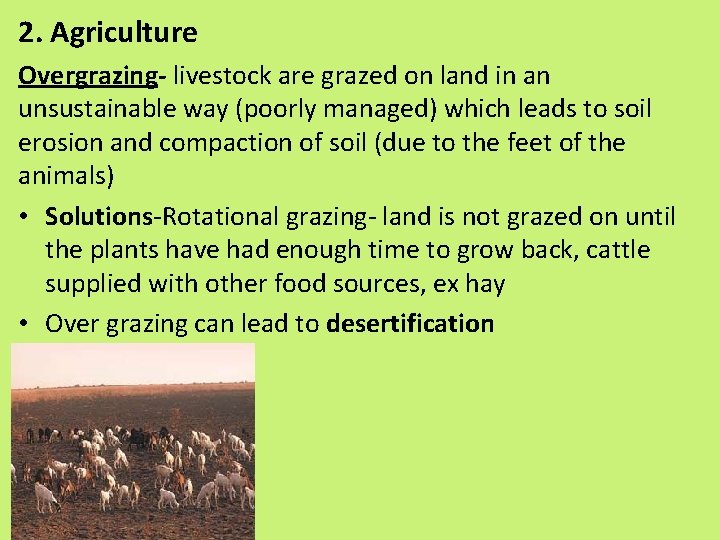 2. Agriculture Overgrazing- livestock are grazed on land in an unsustainable way (poorly managed)