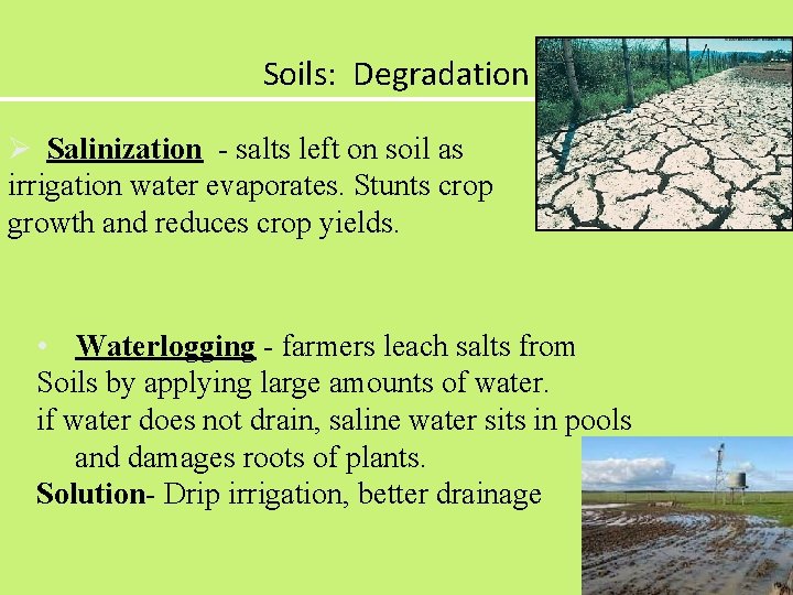 Soils: Degradation Ø Salinization - salts left on soil as irrigation water evaporates. Stunts