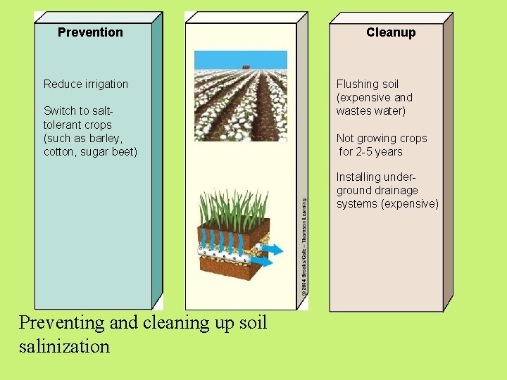 Prevention Reduce irrigation Switch to salttolerant crops (such as barley, cotton, sugar beet) Cleanup