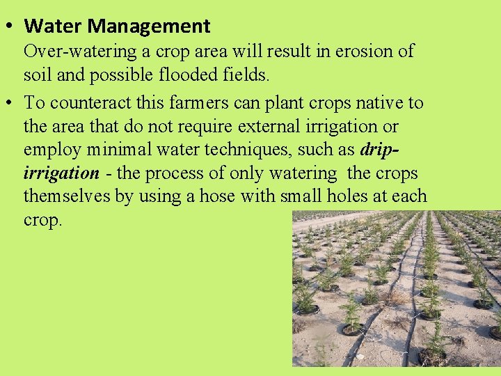  • Water Management Over-watering a crop area will result in erosion of soil