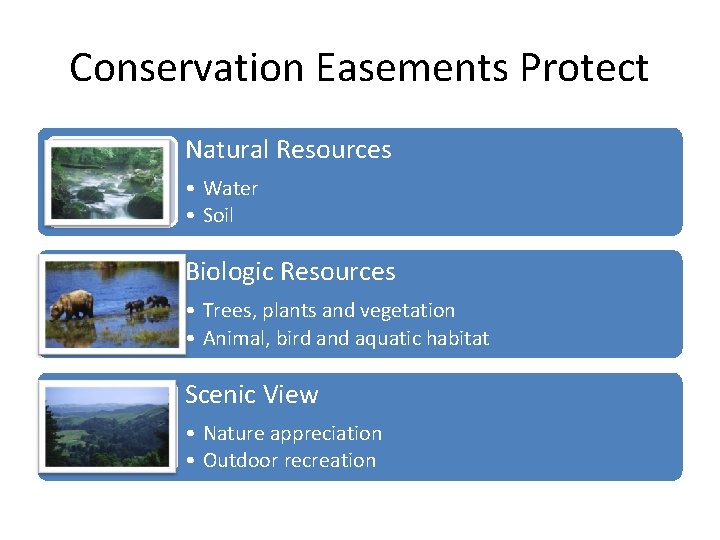 Conservation Easements Protect Natural Resources • Water • Soil Biologic Resources • Trees, plants