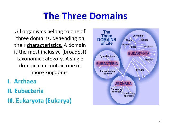 The Three Domains All organisms belong to one of three domains, depending on their