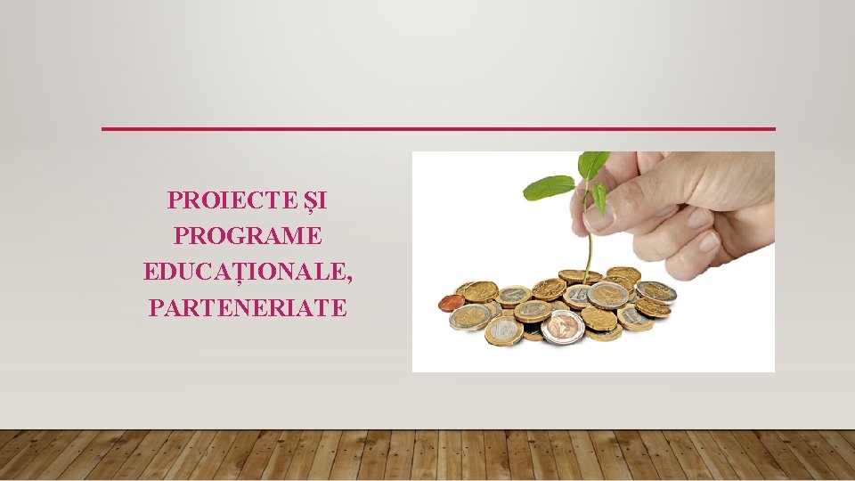 PROIECTE ȘI PROGRAME EDUCAȚIONALE, PARTENERIATE 