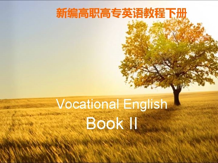 新编高职高专英语教程下册 Vocational English Book II 